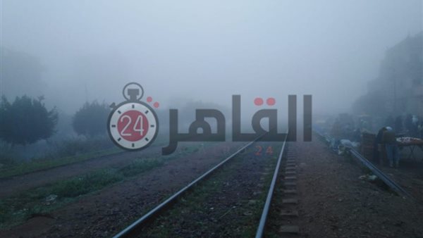 القاهرة 24