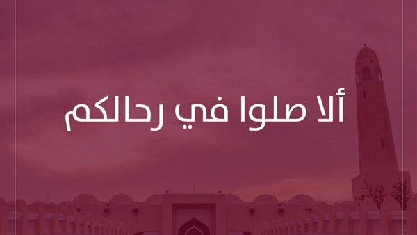 القاهرة 24