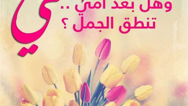 القاهرة 24
