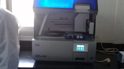 مصدر: “صحة كفر الشيخ” تتسلم أجهزة تحليل كورونا (صور)