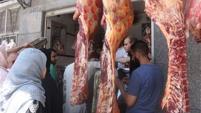 هل يتم إغلاق كافة محال الجزارة بمصر؟.. “الزراعة” تجيب