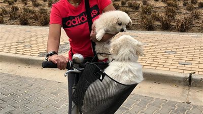 رانيا يوسف من على الدراجة: الكلب هو الوحيد اللي هيحبك