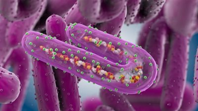 تنزانيا تؤكد تفشي فيروس ماربورغ