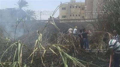 السيطرة على حريق بمنطقة أرض المحلج بالمحلة نشب في مخلفات الهيش والبوص