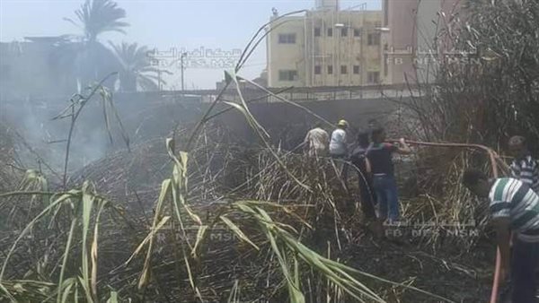 حريق أرض المحلج بالمحلة