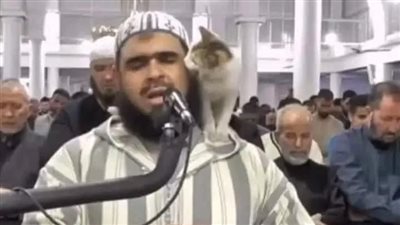 تسلقت على كتف الإمام.. قطة تتصدر تريند فيسبوك بعد حضورها صلاة التراويح في الجزائر