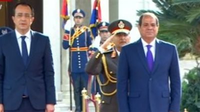 السيسي: اتفقت مع الرئيس القبرصي على استمرار التنسيق إزاء القضايا ذات الاهتمام المشترك
