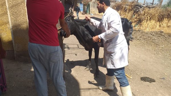 تحصين 117 ألف رأس