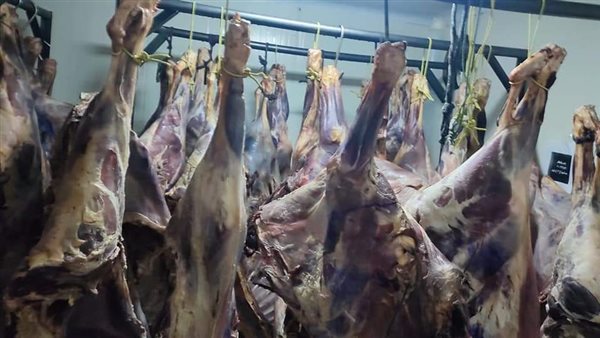 لحوم فاسدة- أرشيفية