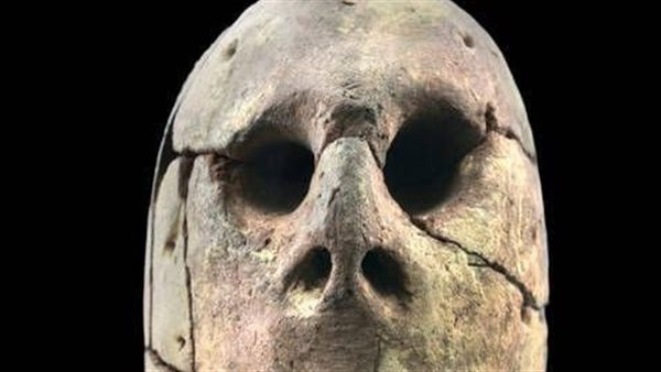 عرض رأس من الطين