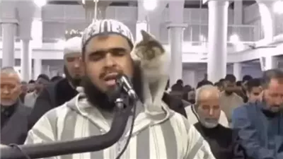 لقد أزال كل قلقي.. إشادات كبيرة من غير المسلمين بفيديو القطة والشيخ