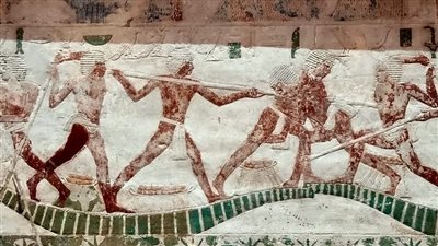 المتحف المصري بالتحرير يعرض قطع حجرية تصور المسابقات الرياضية في مصر القديمة | صور 