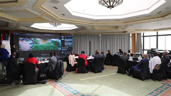 مركز القاهرة الدولي