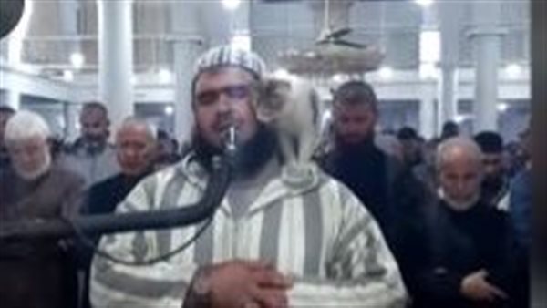 الإمام والقطة