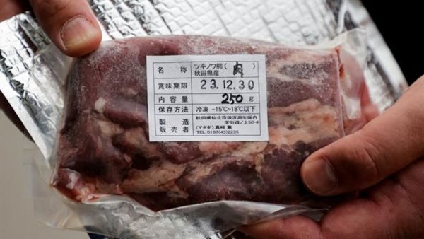 بيع لحم الدببة