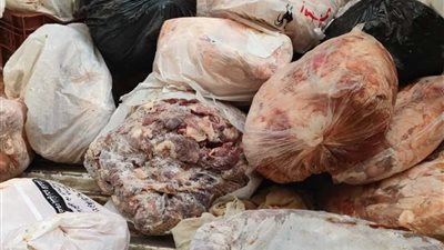 الزراعة: ضبط 259 طن لحوم وأسماك غير صالحة للاستهلاك خلال الربع الأول من 2023