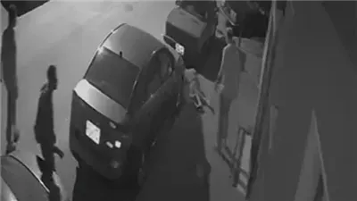 الداخلية تكشف كواليس التعدي على سيدة بسبب إطعامها القطط |فيديو