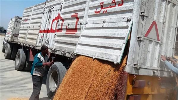 توريد القمح