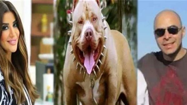 وفاة مدير بنك في حادث كلب المذيعة أميرة شنب
