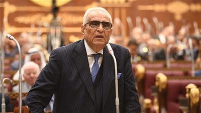  بهاء أبو شقة يكشف الموقف القانوني لإلغاء انتخابات مجلس النواب