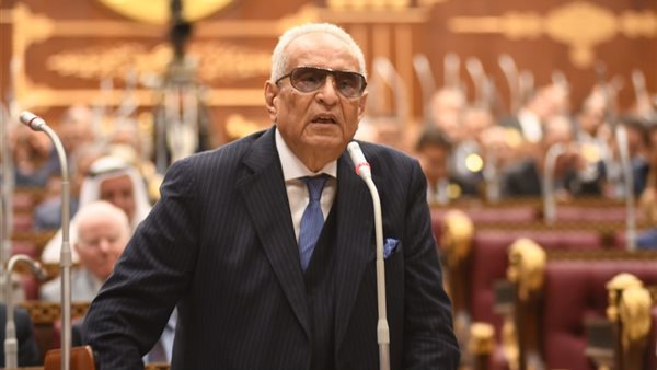 بهاء أبو شقة