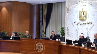 الحكومة: تحالفات كبرى بين شركات مصرية وأجنبية للاستحواذ على صافي ووطنية