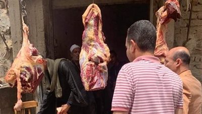 تحرير 5 محاضر للذبح خارج المجازر وضبط أسماك غير صالحة في المنيا