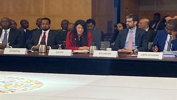 جانب من المشاركة