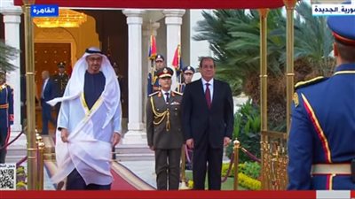 السيسي يسقبل الشيخ محمد بن زايد داخل قصر الاتحادية