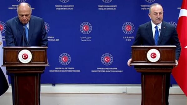 وزيرا خارجية مصر