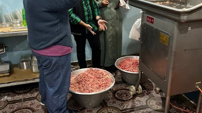 ضبط 196 مخالفة تموينية في حملة على المخابز والأسواق بالدقهلية