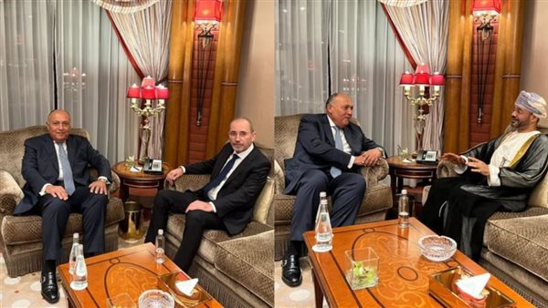 شكري يلتقي وزيري