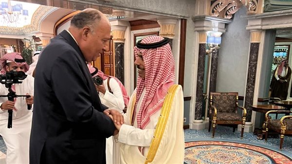 وزير الخارجية ونظيره