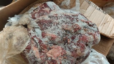 ضبط 2.5 طن لحوم ودواجن وأسماك غير صالحة بمطاعم وسلاسل تجارية شهيرة بالجيزة