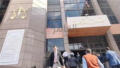 اليوم.. نظر دعوى قضائية تطالب بإلغاء نصوص الاعتداء على قيم الأسرة لمخالفتها الدستور