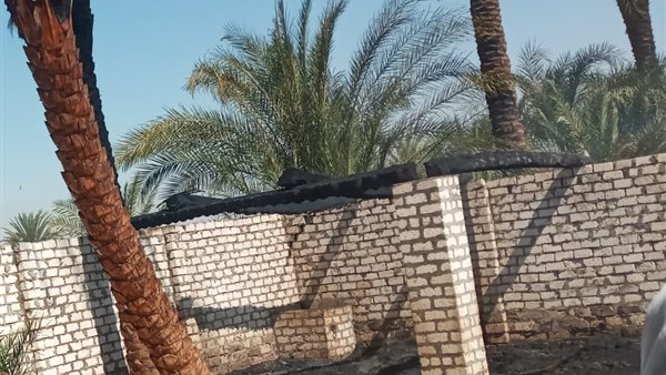 حريق في حوش ماشية