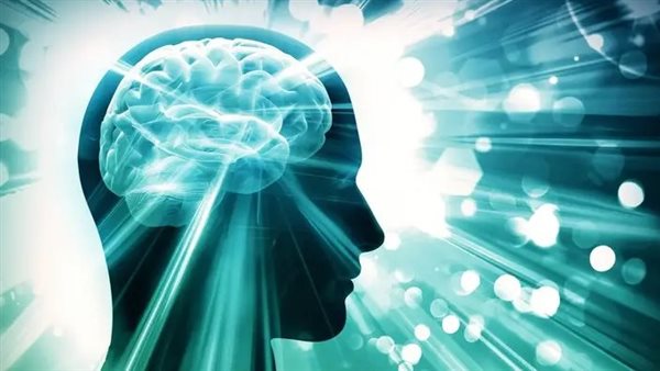 صحة الدماغ 