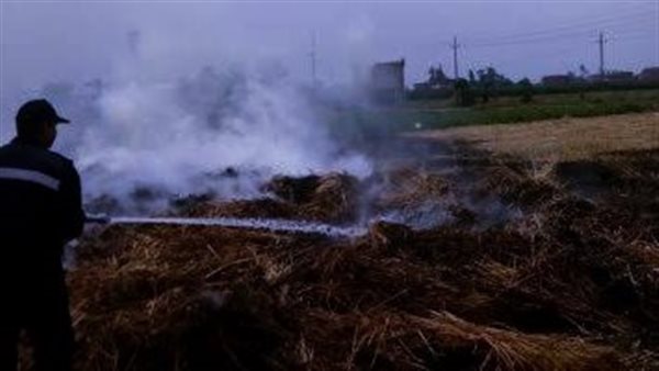 صورة تعبيرية 