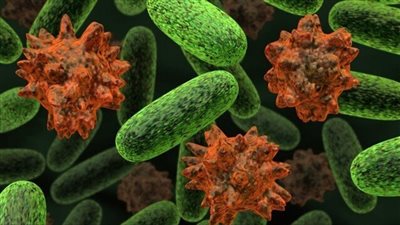 باحثون أمريكيون يتوصلون إلى قدرة البكتيريا على تخزين الذكريات وتمريرها للأجيال القادمة