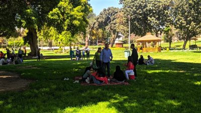 توافد المواطنين على حدائق القناطر الخيرية احتفالا بعيد شم النسيم| صور 