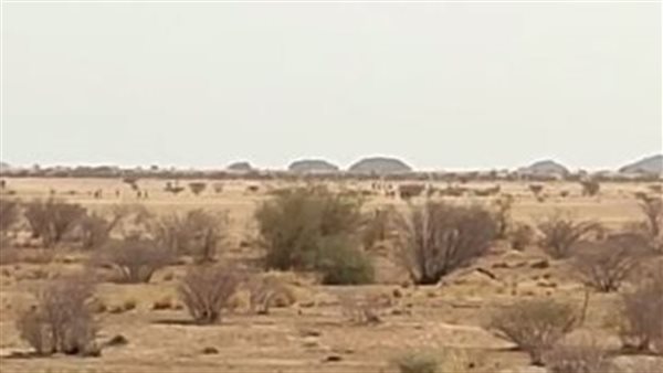 هروب عناصر من قوات