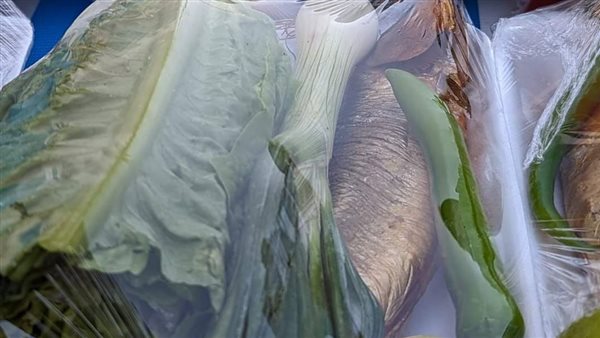 المنايفة وزعوا رنجة