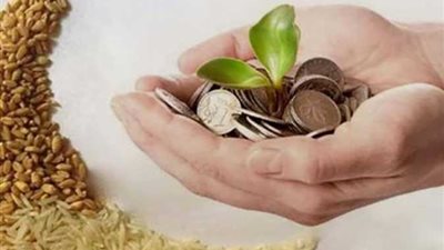 هل يجوز إعطاء الزكاة لأخي الفقير أو أختي؟.. الأزهر للفتوى يجيب