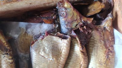 ضبط 15 طنا مواد غذائية منتهية الصلاحية بالغربية