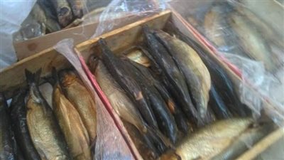 ضبط 15 كيلو رنجة و50 كيلو فسيخ غير صالحة للاستهلاك الآدمي بمطروح