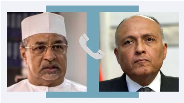 وزير الخارجية ونظيره