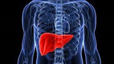 في اليوم العالمي للتوعية بأمراض الكبد.. تعرف على أبرز الحالات المرضية