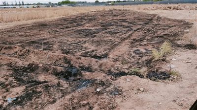 السيطرة على حريق في أرض زراعية بالإسماعيلية دون خسائر بشرية 