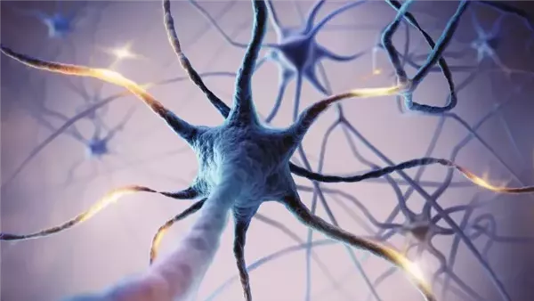 صورة تعبيرية 