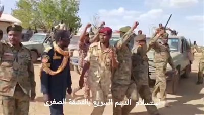 الجيش السوداني ينشر فيديو لاستسلام قوات الدعم السريع بالفشقة الصغرى